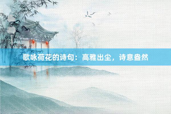 歌咏荷花的诗句：高雅出尘，诗意盎然